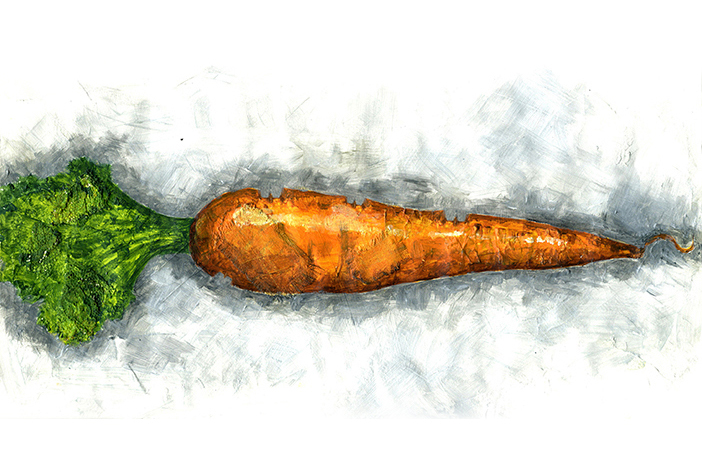 carrot illustration